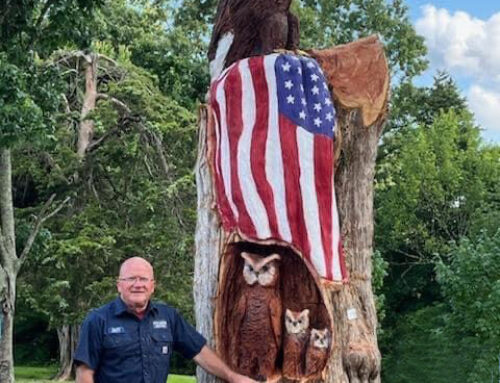 Tate’s School transforms tornado ruined tree for Flag Day